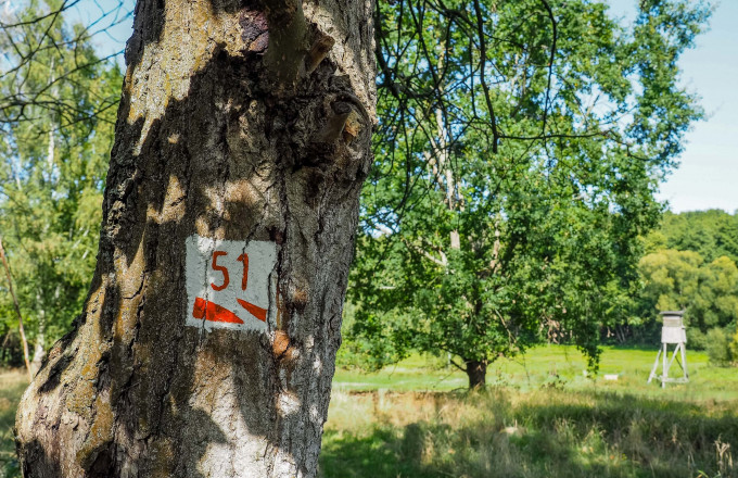 Rundwanderweg 51 Wegzeichen, Foto: Laura Schneider/Herz an Hirn, Lizenz: Tourismusverband Fläming e.V.