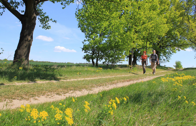 Burgenwanderweg bei Jeserig, Foto: Bansen/Wittig