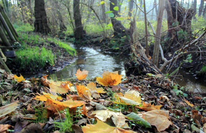 Belziger Bach - Panoramawanderweg rund um Belzig, Foto: Bansen/Wittig