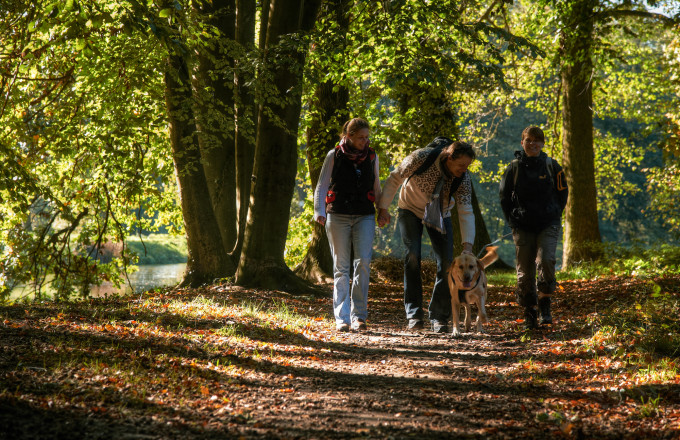 Wanderer im Waldteil des Schlossparks Wiesenburg, Foto: Jürgen Rocholl/FACE, Lizenz: Naturparkverein Hoher Fläming e.V.