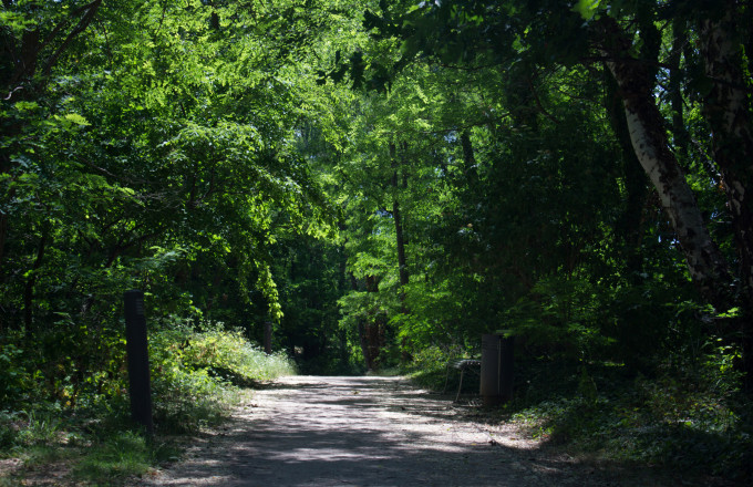 Weg zum Angelteich, Foto: Bansen-Wittig