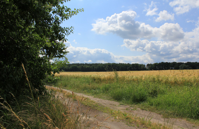 Auf dem Weg zur Kirchenruine, Foto: Bansen-Wittig