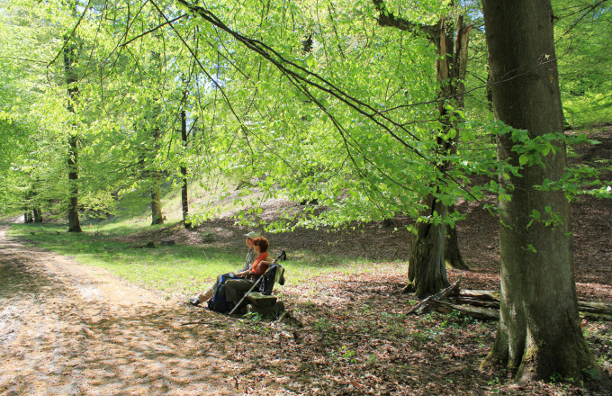 Frühlingsrast im Buchenwald, Foto: Bansen-Wittig