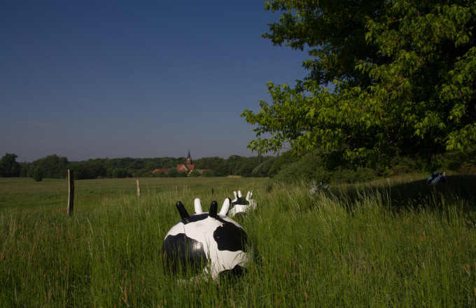 Blick auf Wiesenburg, Foto: Bansen-Wittig