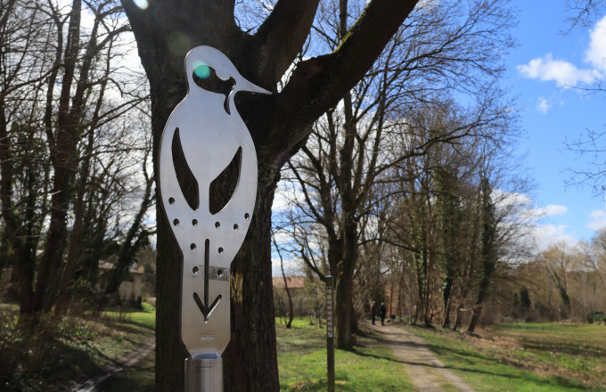 Der Schnabel weist den Weg, Foto: Bansen-Wittig