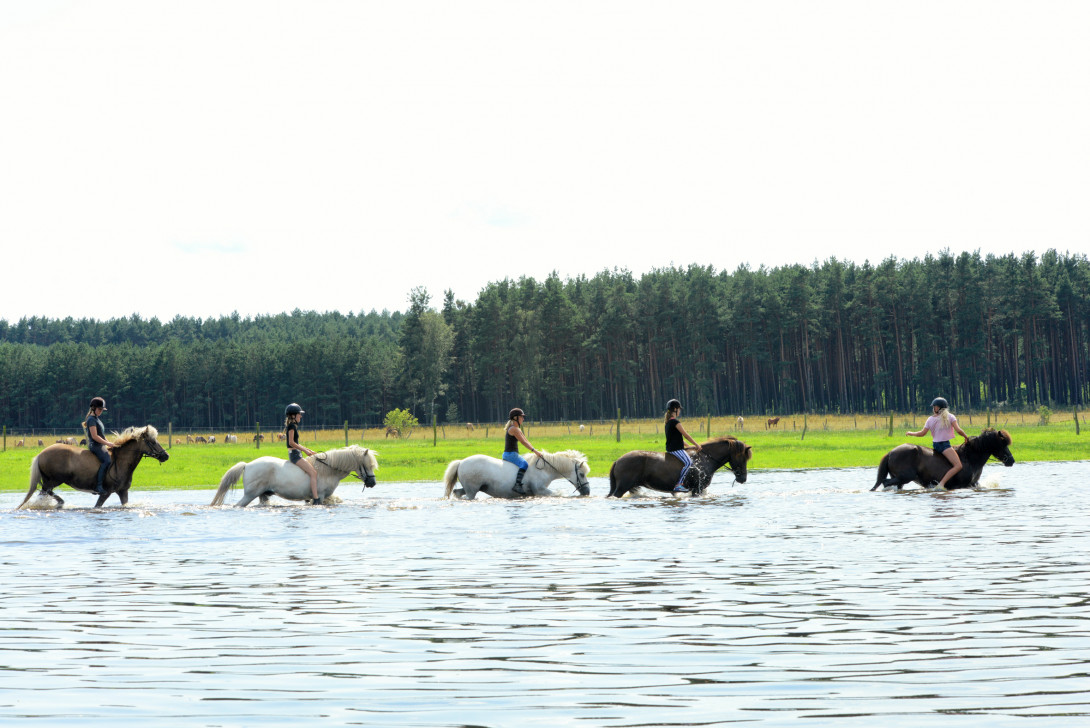 Ausritt durchs Wasser