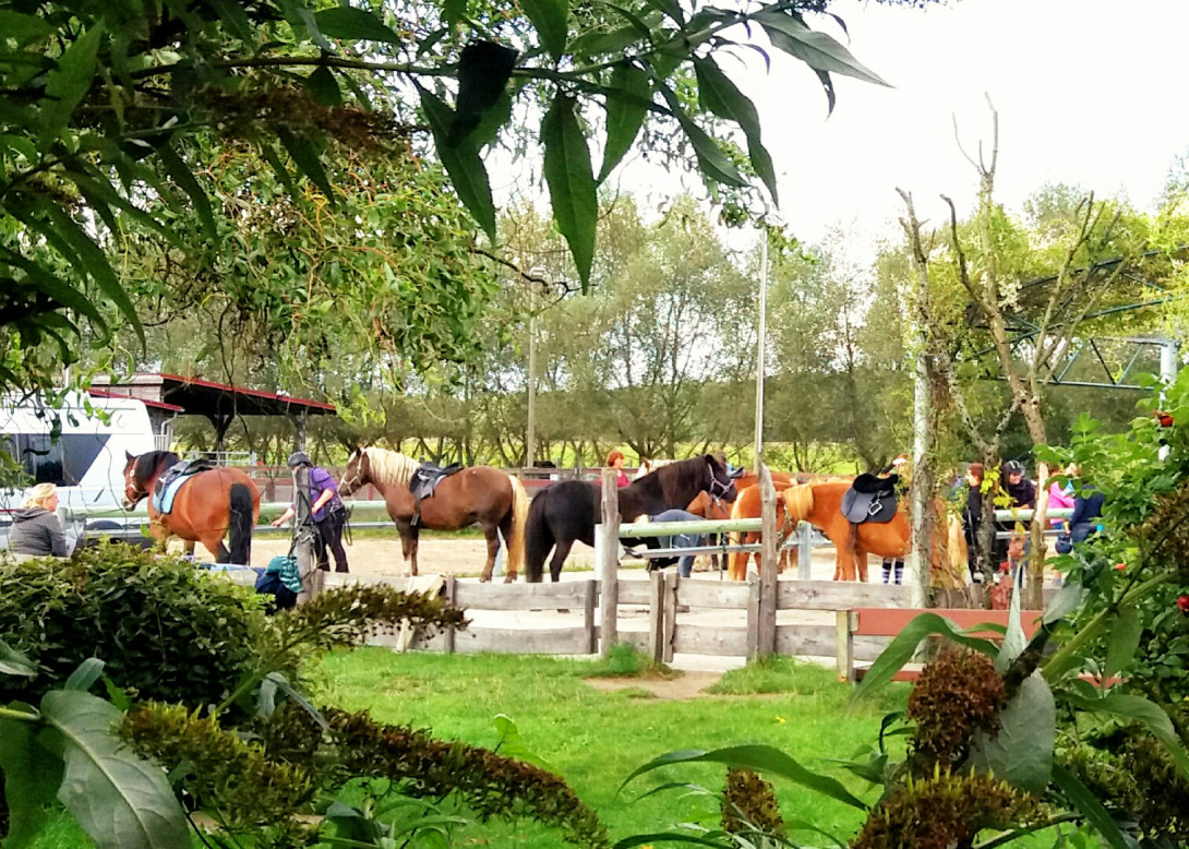 Blick auf den Putzplatz