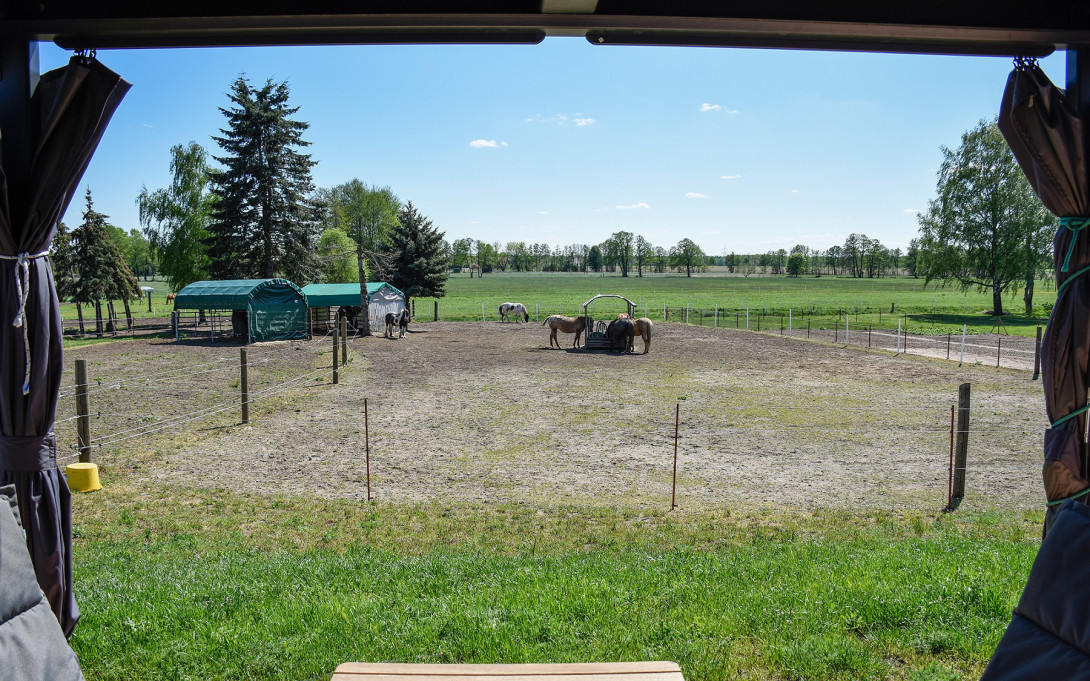 Mit Blick auf die Pferdekoppel, Foto: Steffi Kaiser