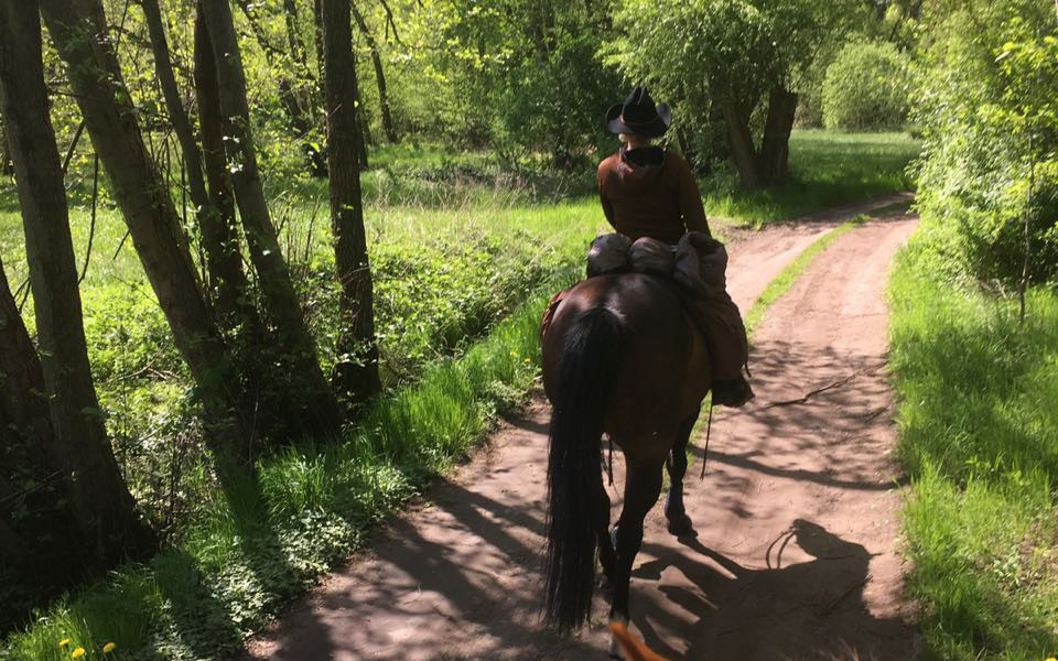 Ausreiten inmitten ruhiger Natur, Foto: Steffi Kaiser