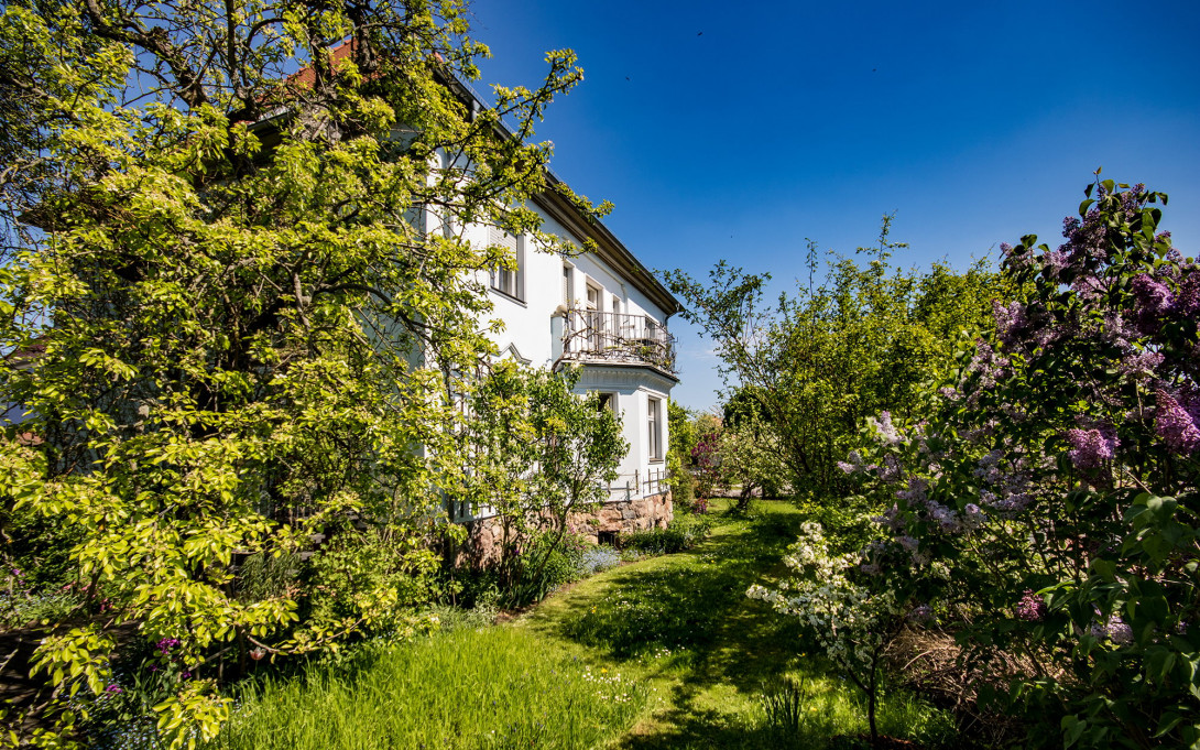 Blick in den Garten, Foto: Juergen Pittorf
