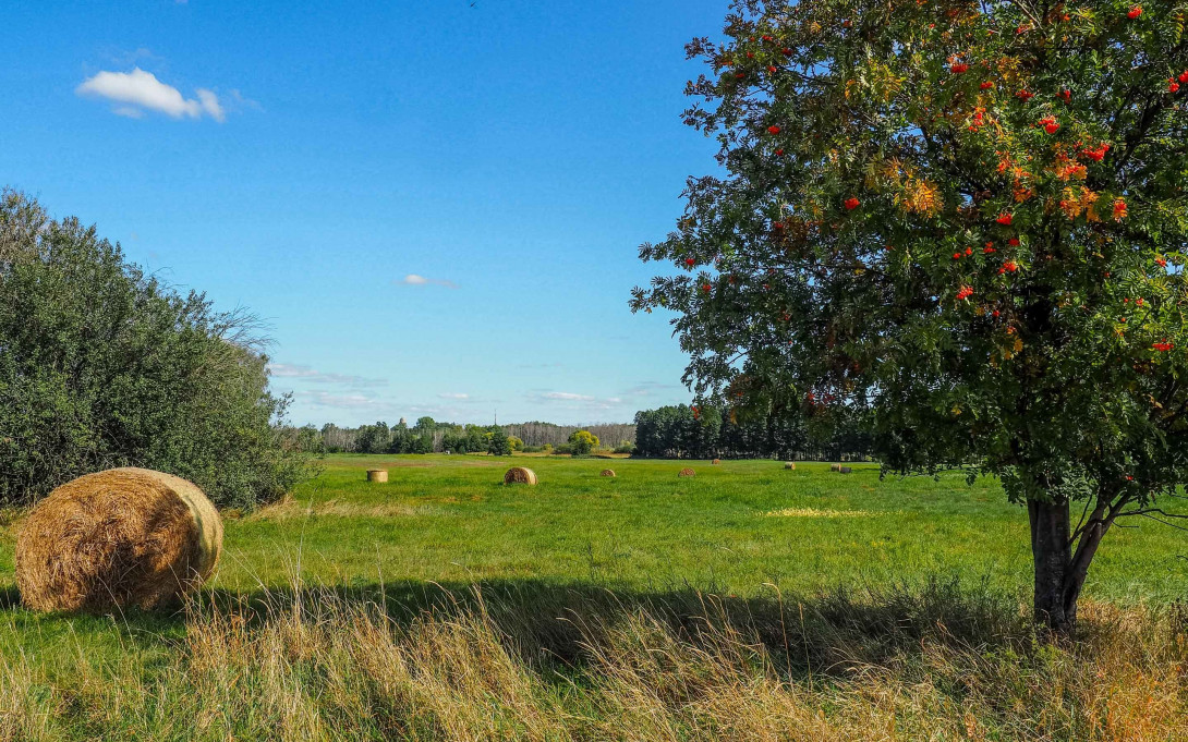 Flurgebiet "Alte See" in Ziesar, Foto: Laura Schneider/Herz an Hirn, Lizenz: Tourismusverband Fläming e.V.