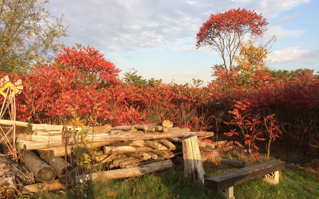 Herbststimmung in Dahnsdorf, Foto: Gerald Ostrowski