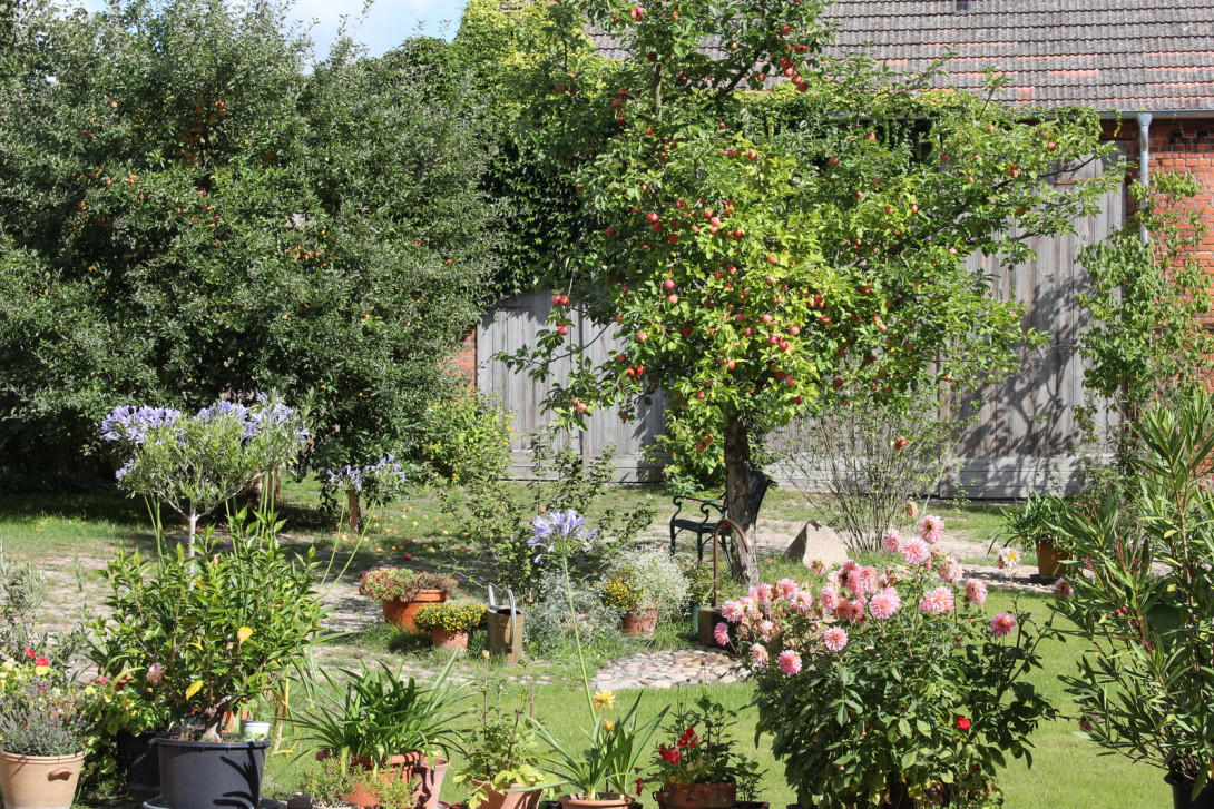Garten, Foto: E. Seidel