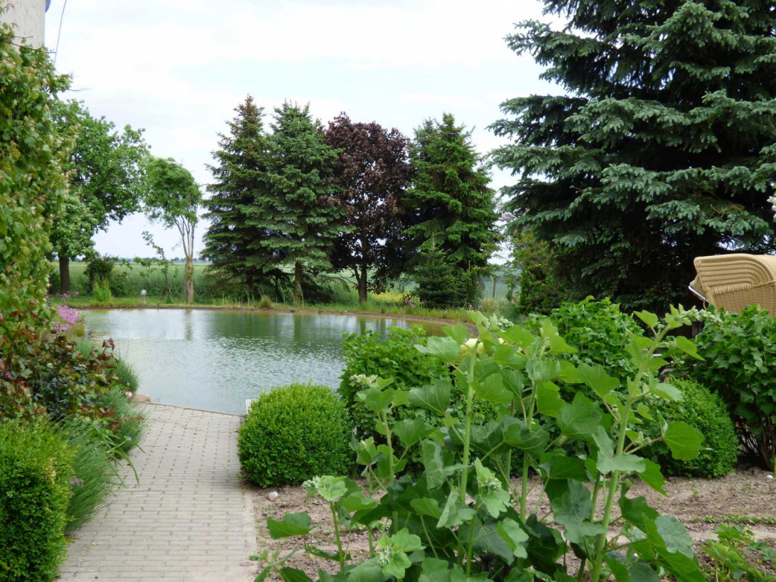 Schwimmteich im Außenbereich, Foto: Kastanienhof Garrey