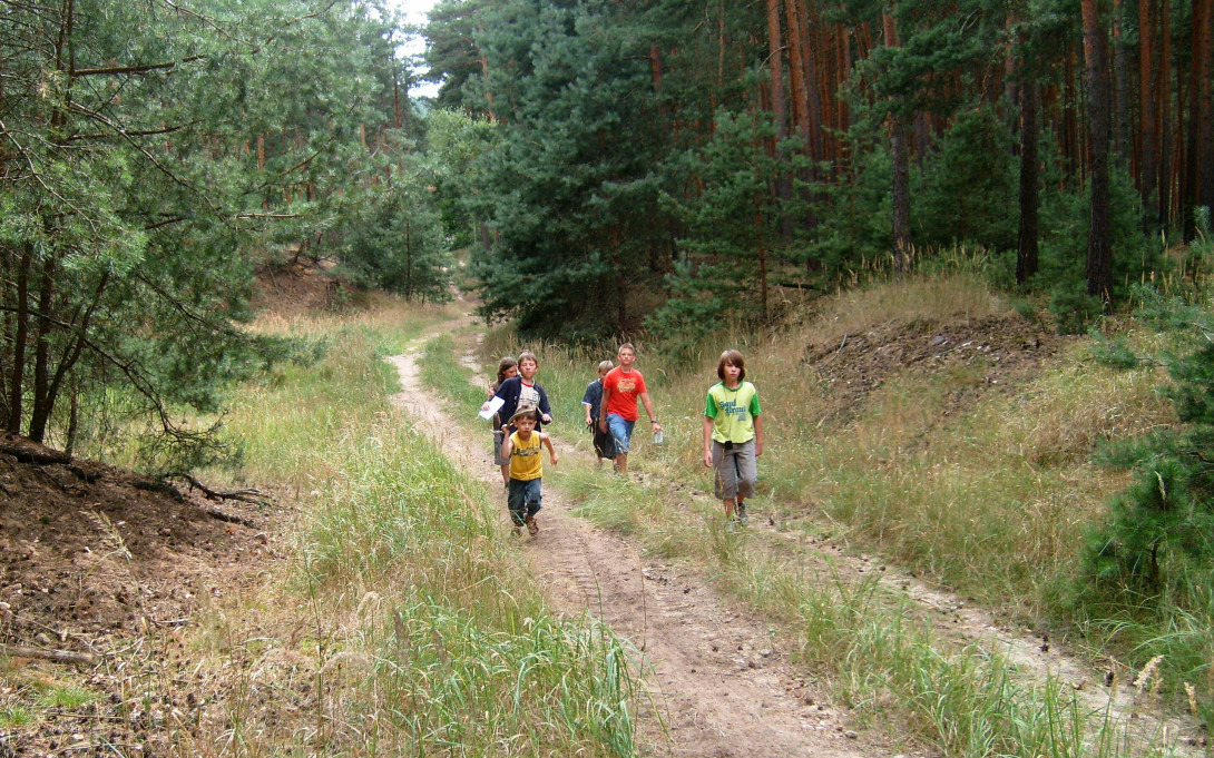Auf Erkundungstour im Wald, Foto: Jürgen Krüger