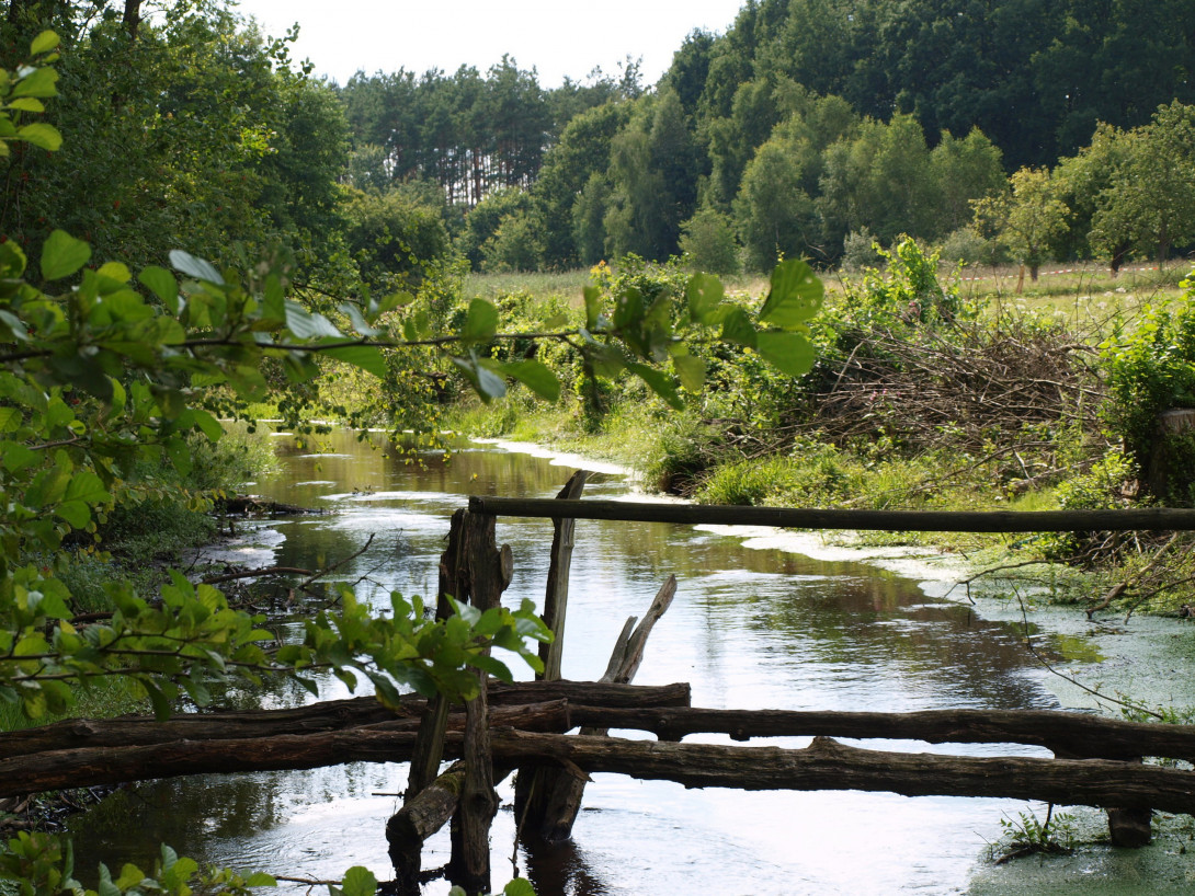 Plane hinter dem Gasthof Moritz, Foto: Haase-Webdesign.de