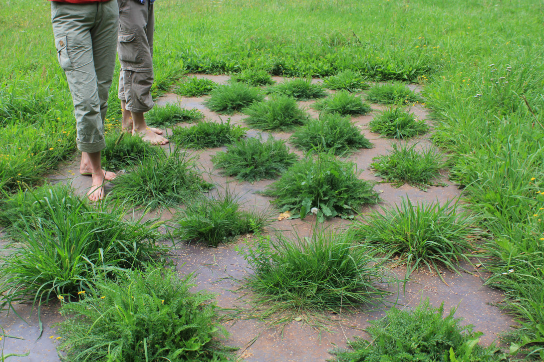 Auf dem Barfußwanderweg, Foto: Bansen/Wittig