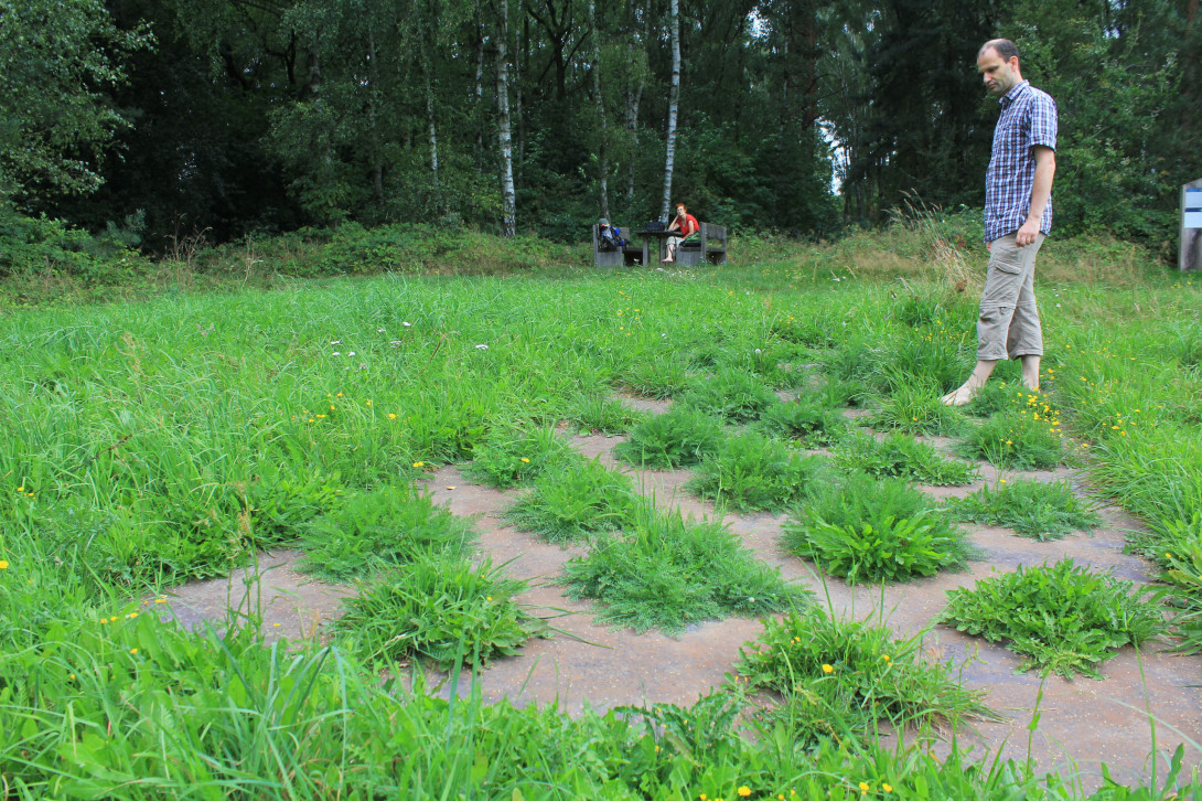 Auf dem Barfußwanderweg, Foto: Bansen/Wittig