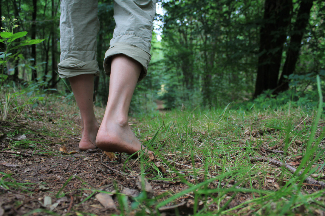 Auf dem Barfußwanderweg, Foto: Bansen/Wittig