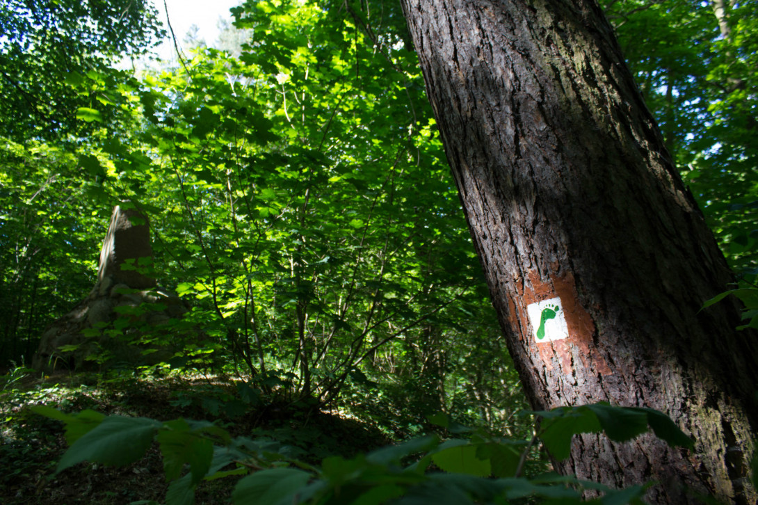 Auf dem Barfußwanderweg, Foto: Bansen/Wittig
