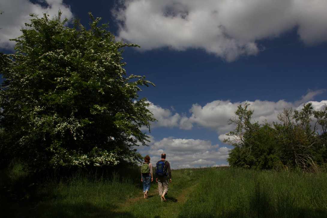 Auf dem Barfußwanderweg, Foto: Bansen/Wittig