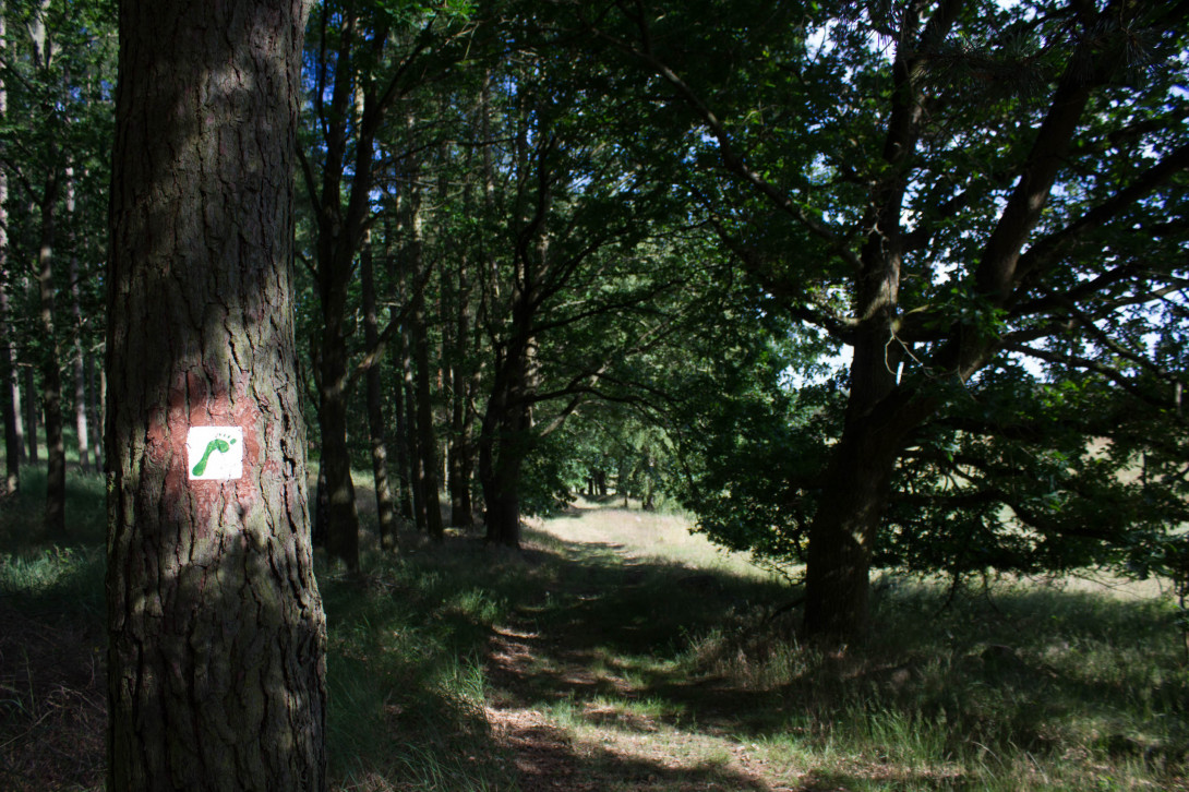 Auf dem Barfußwanderweg, Foto: Bansen/Wittig