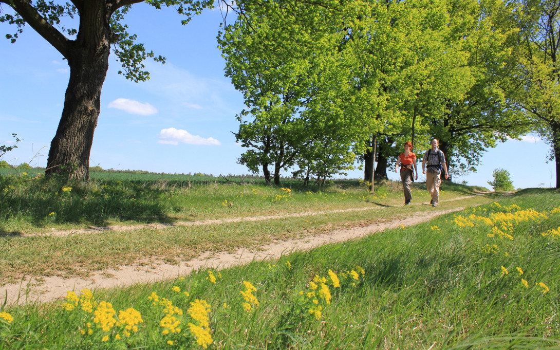 Burgenwanderweg bei Jeserig, Foto: Bansen/Wittig