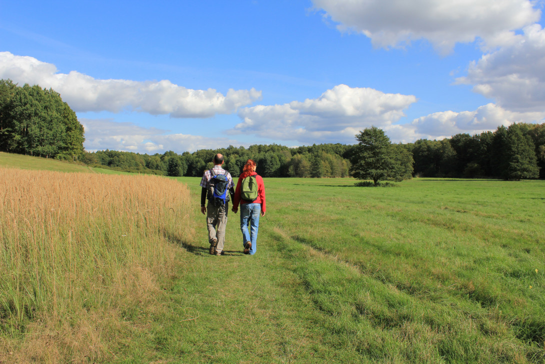 Planetal, Foto: Bansen/Wittig