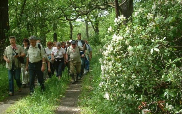 Burgenwanderweg im Wiesenburger Park, Foto: Naturparkverein Hoher Fläming e.V.