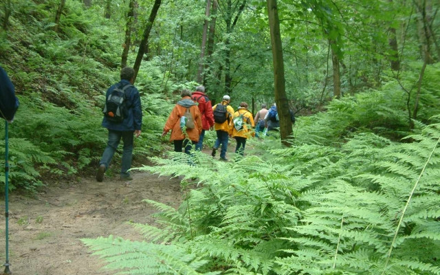 Burgenwanderweg in Neuendorfer Rummel, Foto: Naturparkverein Hoher Fläming e.V.