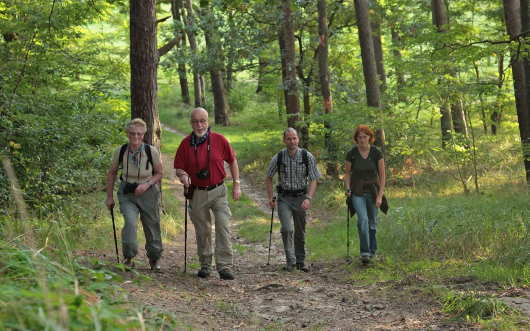 Kleine Anstiege - Töpferwanderweg, Foto: Dirk Fröhlich, Lizenz: Naturparkverein Hoher Fläming e.V.