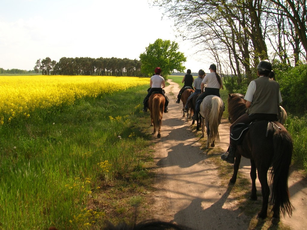 Ausritt, Foto: Reiter- & Erlebnisbauernhof Groß Briesen