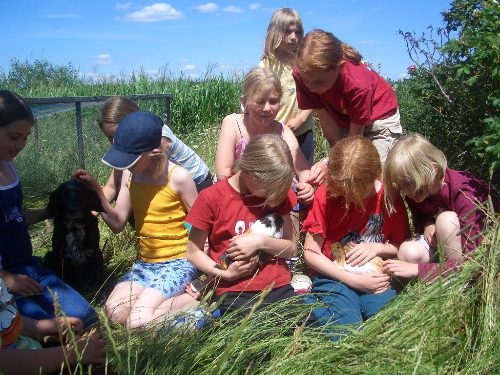 Kinder, Foto: Reiter- & Erlebnisbauernhof Groß Briesen