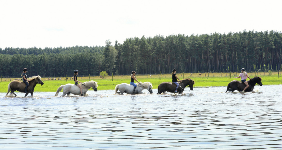Kinder, Foto: Reiter- & Erlebnisbauernhof Groß Briesen
