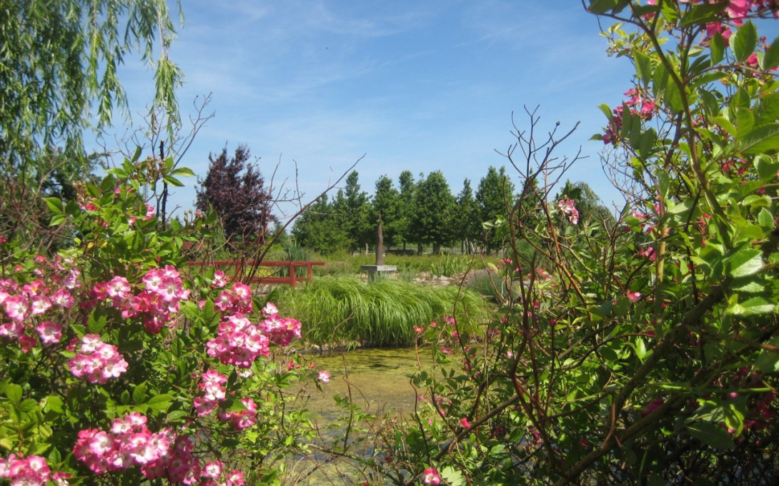 Garten, Foto: Landhaus Alte Schmiede