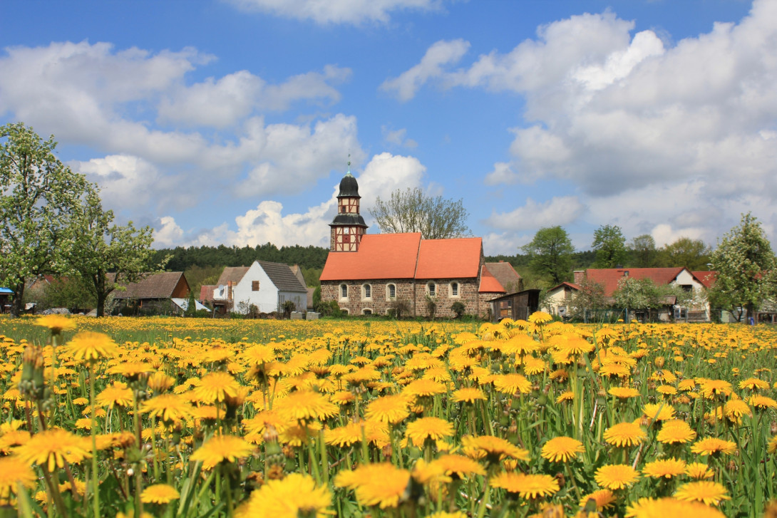 Dorfkirche Raben mit Löwenzahnblütenmeer, Foto: Bansen/Wittig