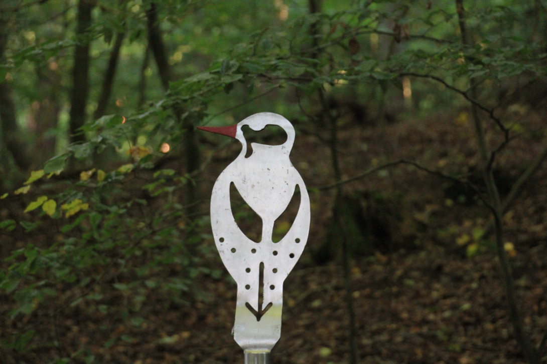 Der Schnabel des Mittelspechts weist den Weg, Foto: Bansen/Wittig