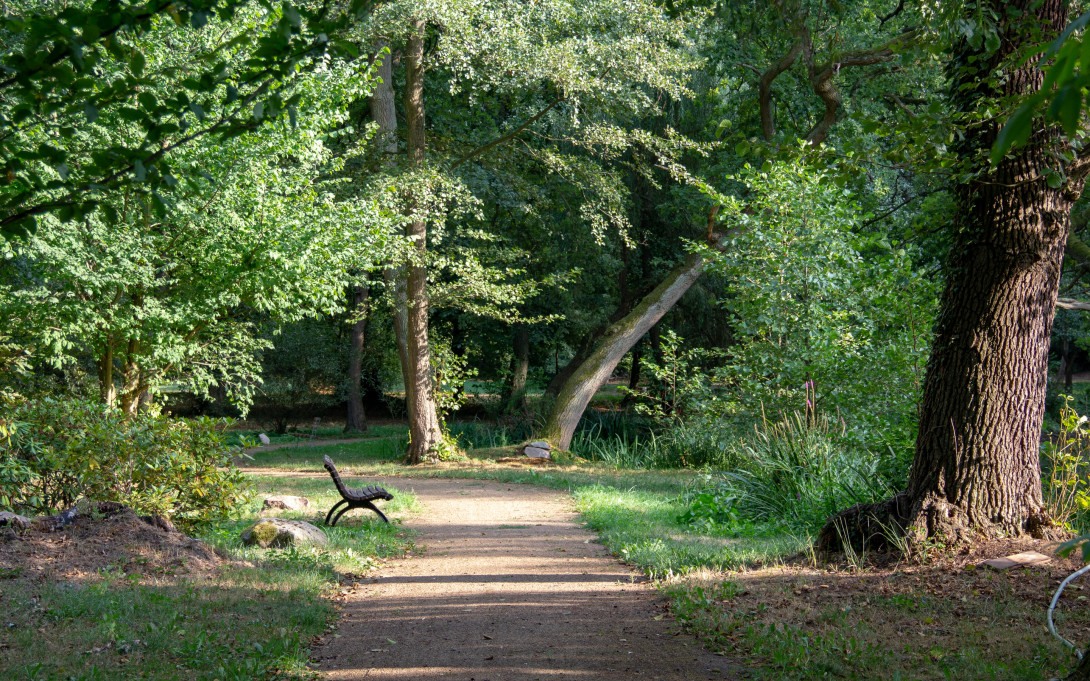 Gutspark Dahlen, Foto: ScottyScout