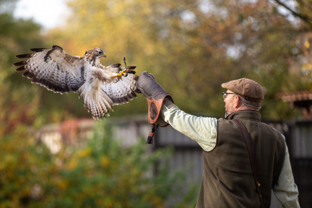 Flugvorführung, Foto: Dirk Grabow