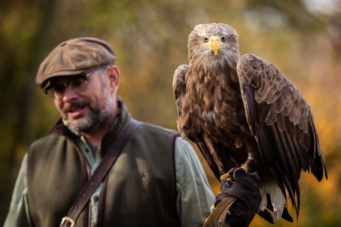 Flugvorführung, Foto: Dirk Grabow