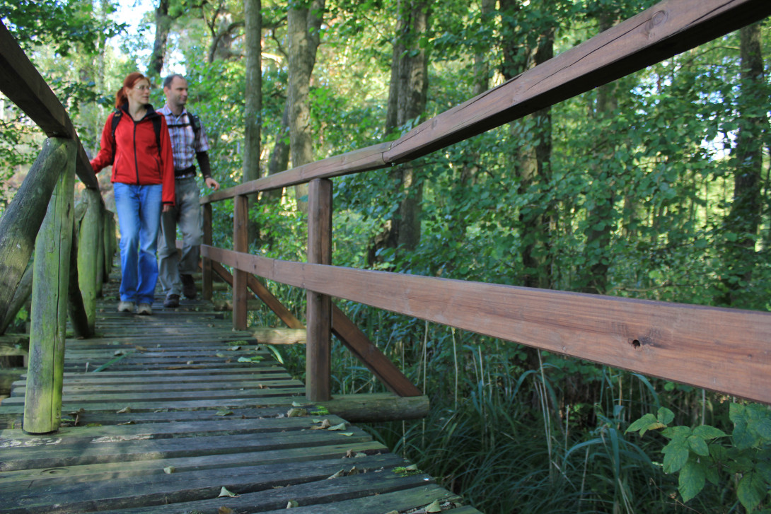 Bohlensteg im Planetal, Foto: Bansen/Wittig