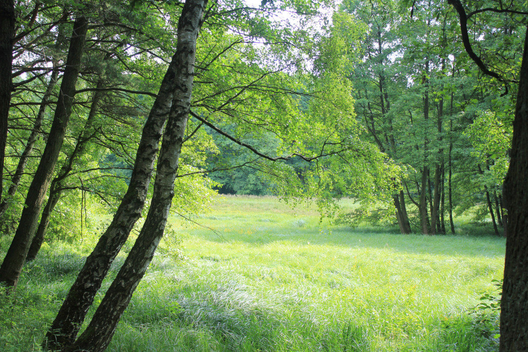 Im Planetal, Foto: Bansen/Wittig