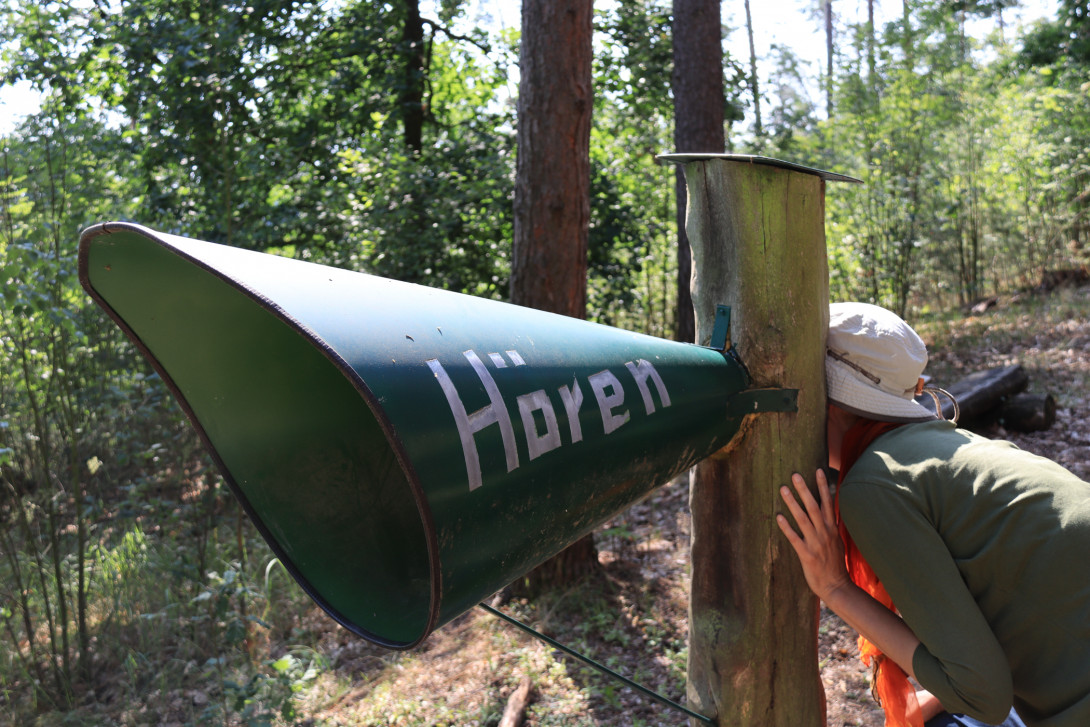 Mit dem Hörrohr in den Wald hören, Foto: Bansen/Wittig