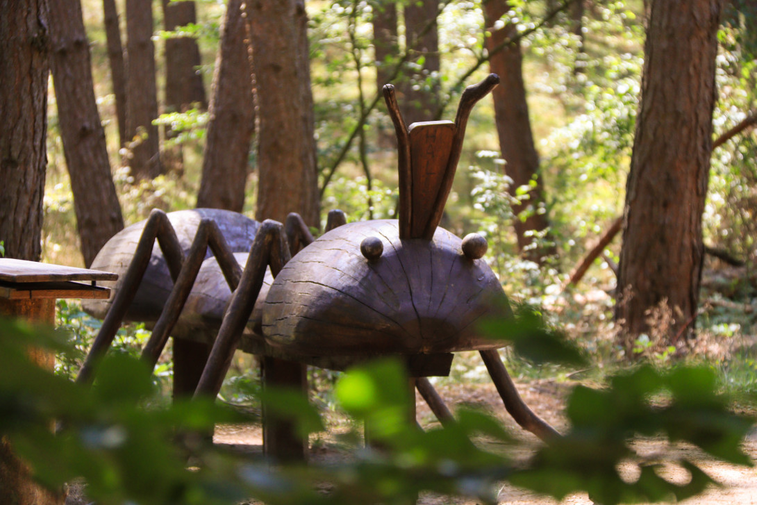 Riesenameise aus Holz, Foto: Bansen/Wittig