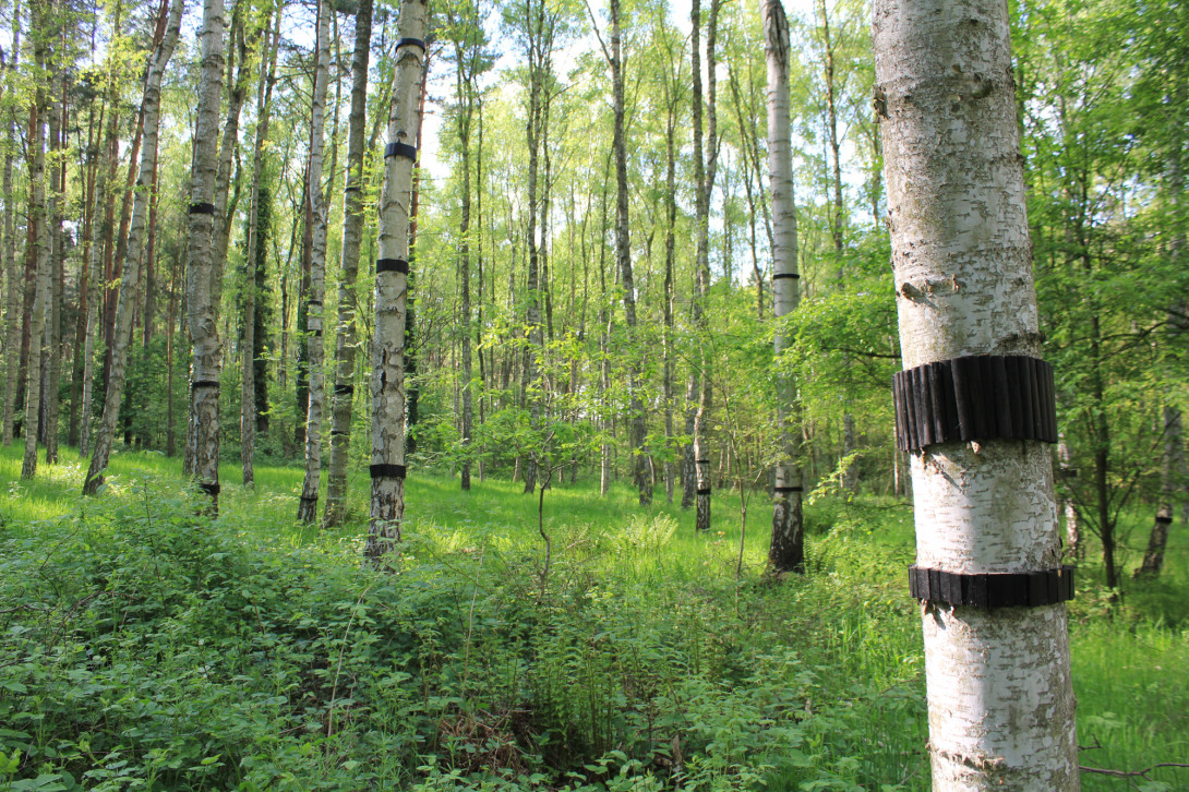 Kunstwerk "Intermezzo", Foto: Bansen-Wittig