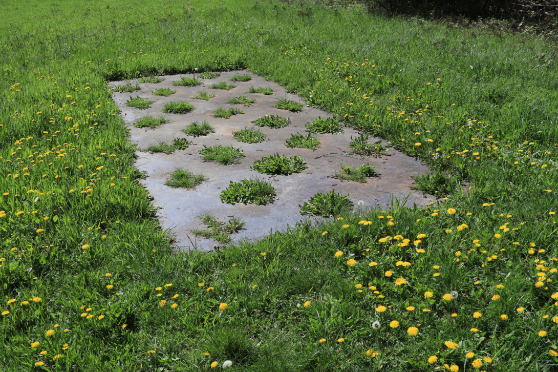 Kunstwerk "Gartenbild", Foto: Bansen-Wittig