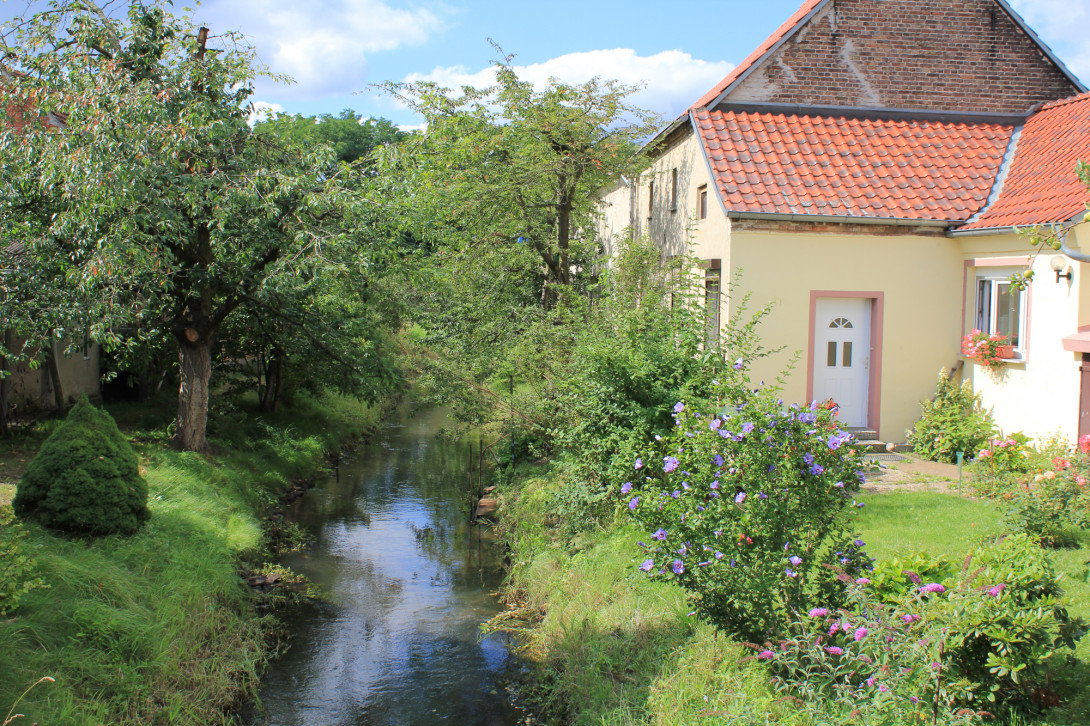 Die Buckau in Bücknitz, Foto: Bansen-Wittig