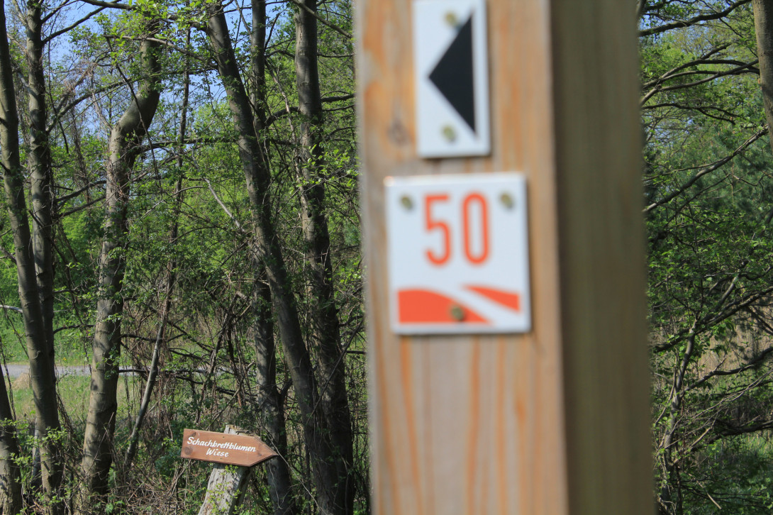 Wanderwegweiser, Foto: Bansen-Wittig