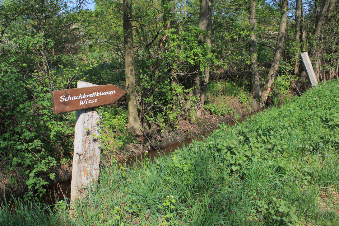 Hinweisschild zur Schachbrettblumenwiese, Foto: Bansen-Wittig
