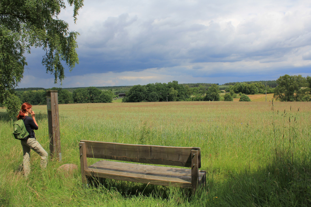 Wanderin an einer Infostele, Foto: Bansen-Wittig